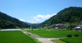 川津南の風景3