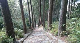 川津南の風景4